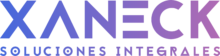 xanecksolucionesintegrales.com